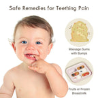 Silicone Baby Fruit Feeder Soother and Teething Pacifier